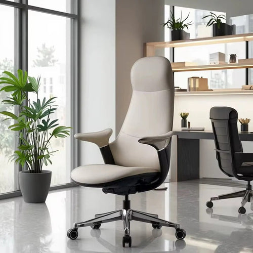 Ergonomic Office Chair vs Regular Chair