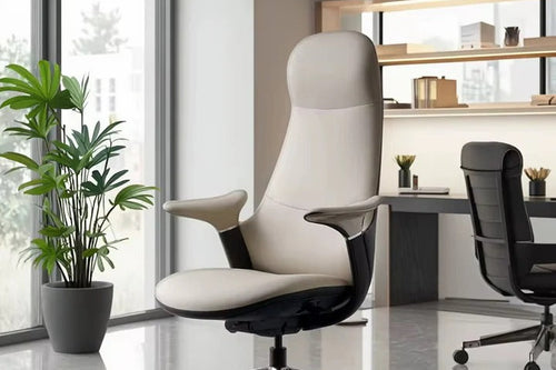Ergonomic Office Chair vs Regular Chair