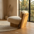 Luxury Cohu Accent Chair Mumbai
