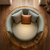 Luxury Gecko accent chair Delhi