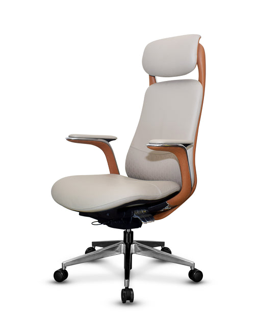 BENZ ergonomic office chair in two-tone