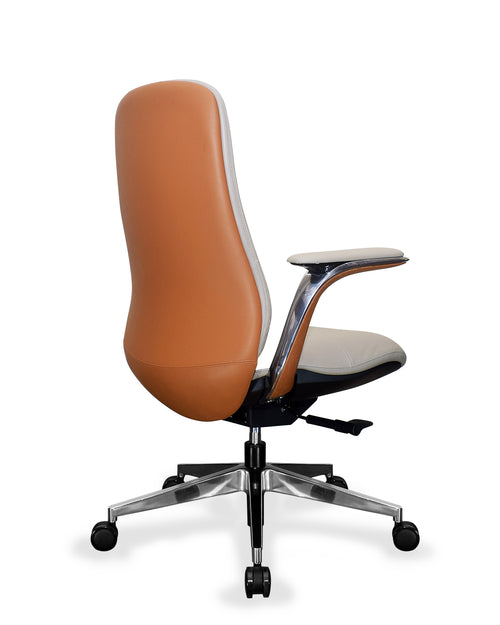 Back view of BENZ office chair 