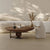 Bellimo coffee table with teak wood design 