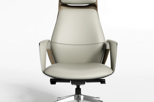 Luxury Clint boss chair in Bangalore corporate office