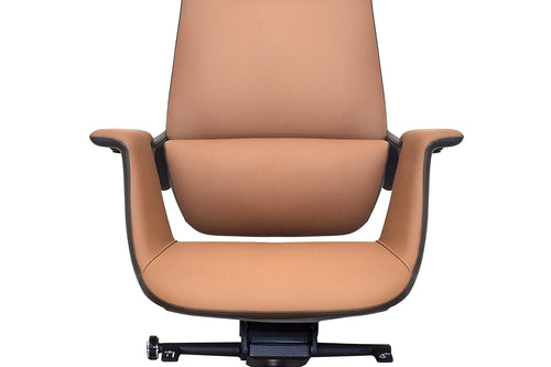 Luxury Curvv director chair in Delhi workspace