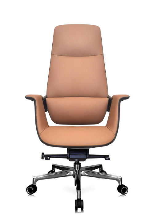 Luxury Curvv director chair in Delhi workspace