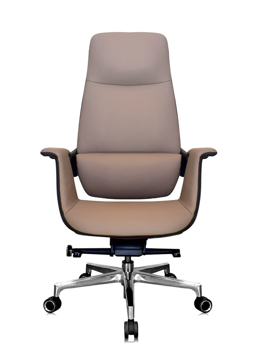 Luxury Curvv director chair in Delhi workspace