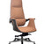 Luxury Curvv director chair in Delhi workspace