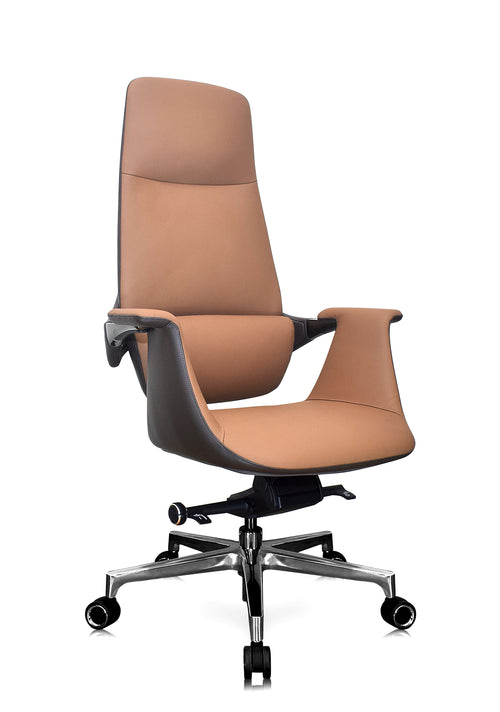 Luxury Curvv director chair in Delhi workspace
