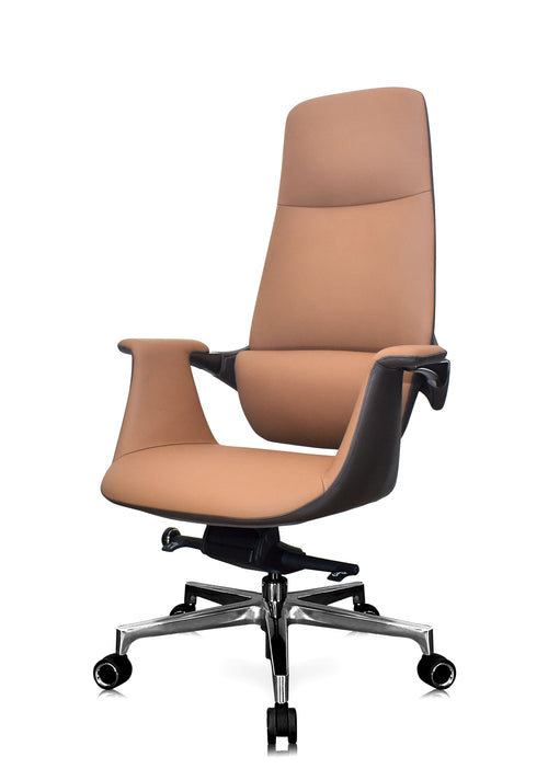 Luxury Curvv director chair in Delhi workspace