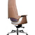 Luxury Curvv director chair in Delhi workspace