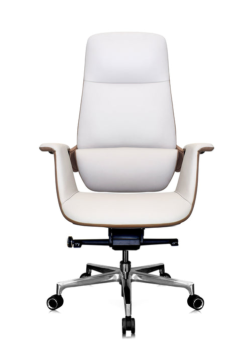 Luxury Curvv director chair in Delhi workspace