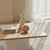 Stylish coffee table in living room