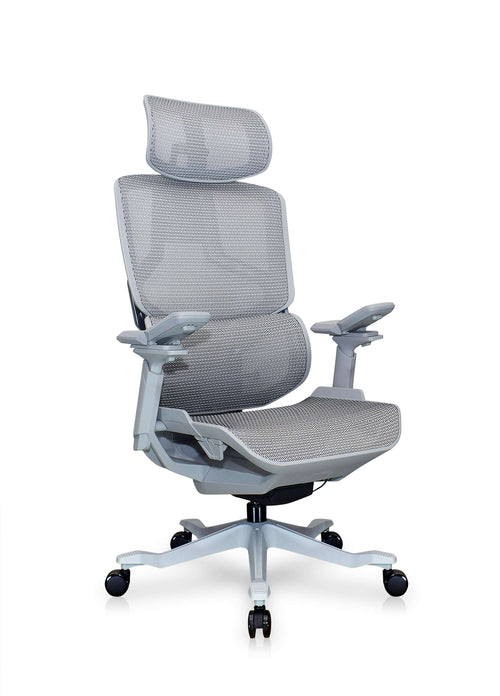 Enova chair with adjustable headrest