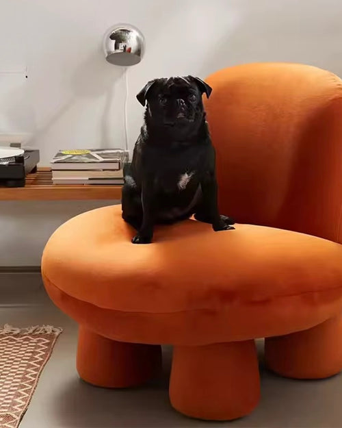 Chair Collective
