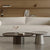Modern minimalist coffee table Set