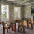 Darwin Dining Chair