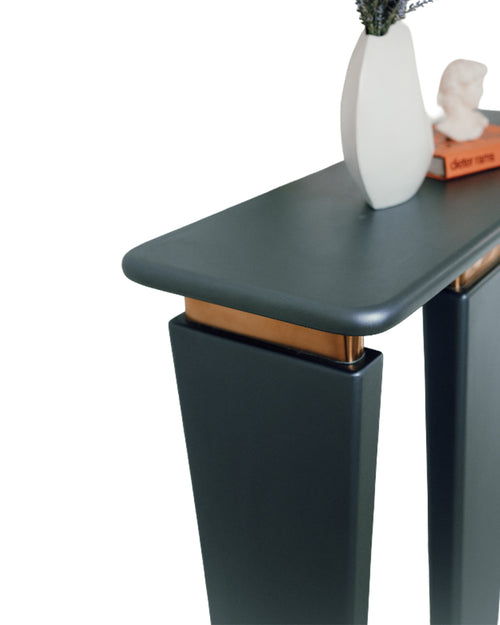 Closeup view of Terra Console