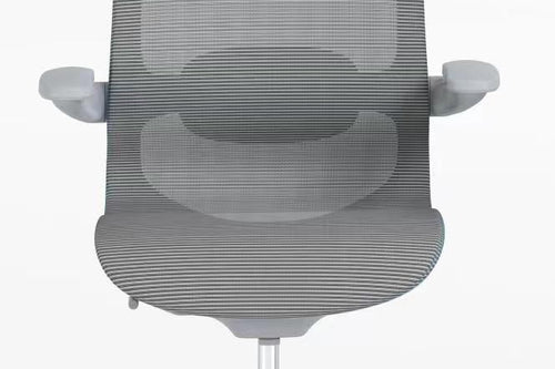 Miller Ergonomic Visitor Chair